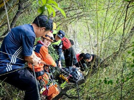 三名湖北男子山上采药被困悬崖 重庆多部门联手营救