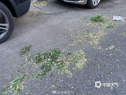 北京局地风力达到11级