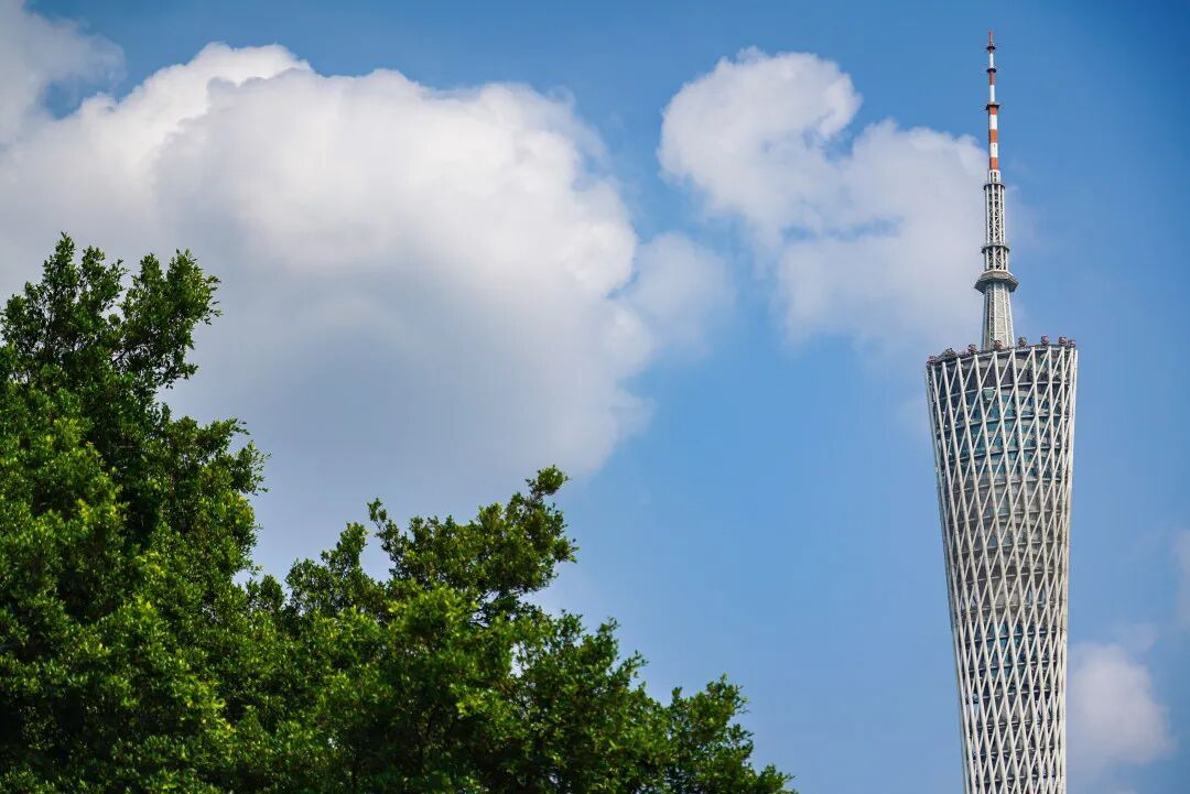 立夏之后，宜平心静气