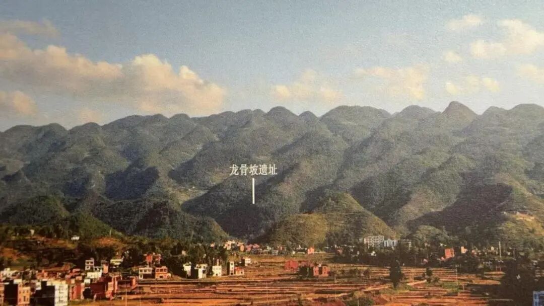 “巫山人”是人是猿？94岁的他寻证40年