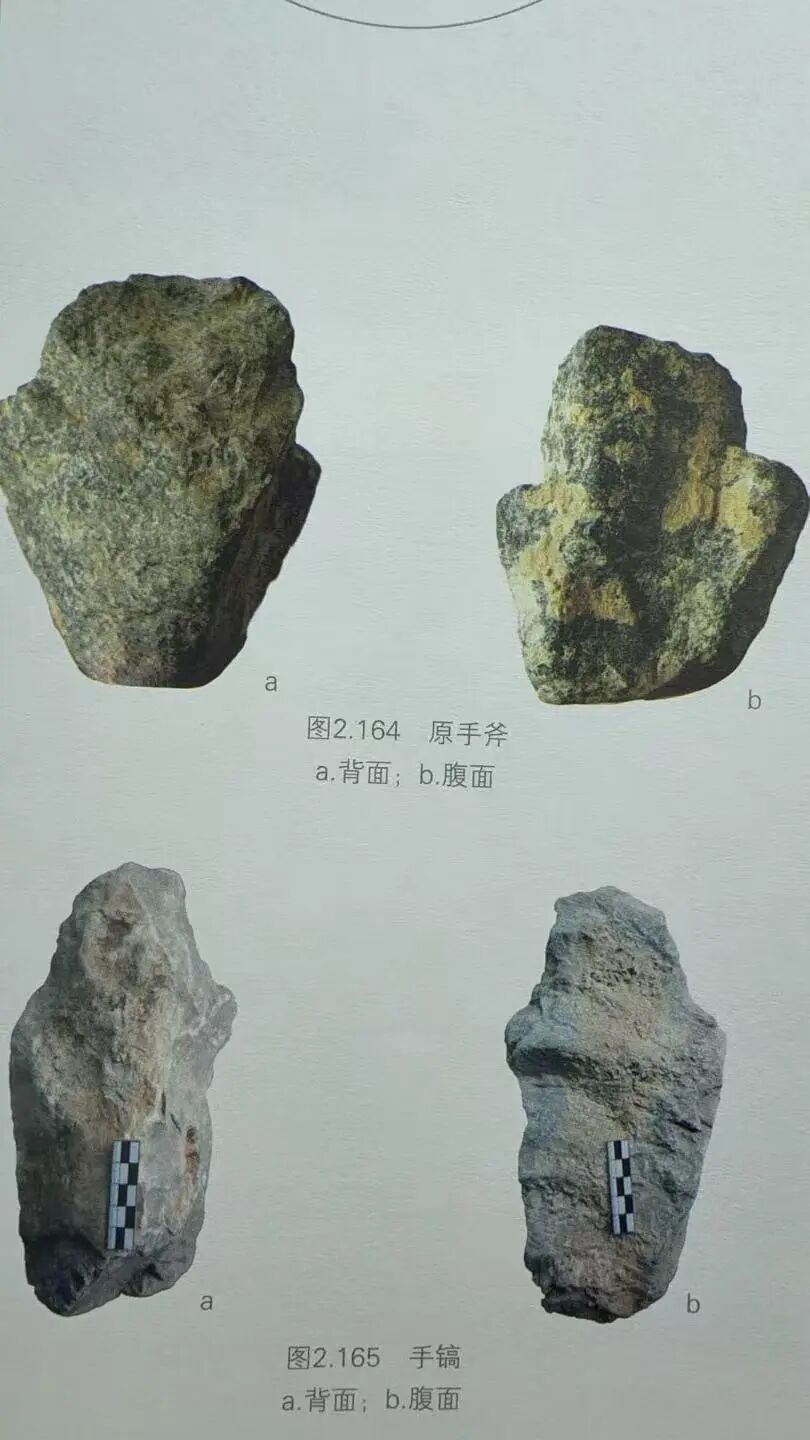 “巫山人”是人是猿？94岁的他寻证40年