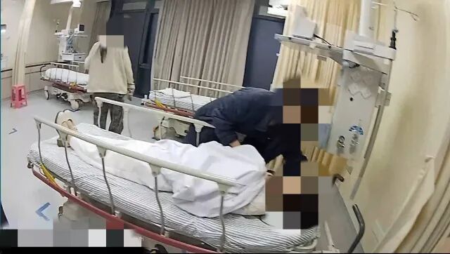 “能不能牵一下手?”深夜，杭州“00后”小伙用最温柔的动作救回一条命