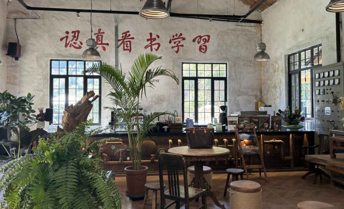 浙江丽水：点“废”成金，闲置资源成“最美风景”