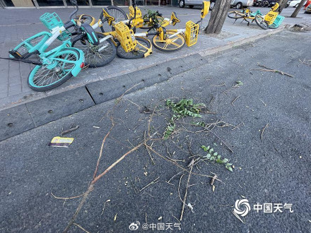 北京局地风力达到11级