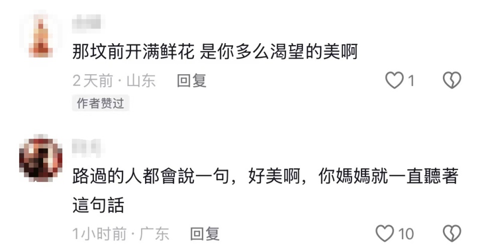 一辈子一对人！女子发现82岁父亲在亡母坟前种满虞美人：老一辈人表达情感的寻常方式