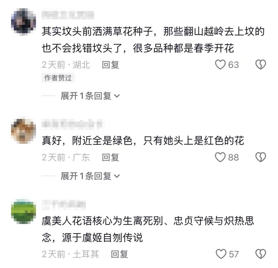 一辈子一对人！女子发现82岁父亲在亡母坟前种满虞美人：老一辈人表达情感的寻常方式