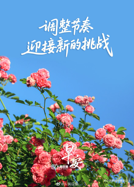 调整节奏，迎接新的挑战