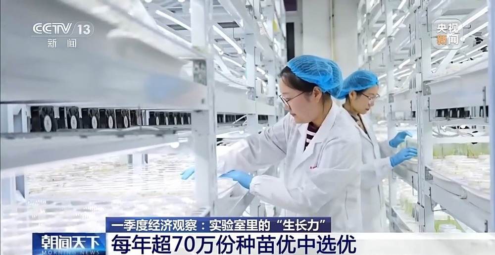 育种提速、靶向除虫 “大国粮仓”再添硬核底气
