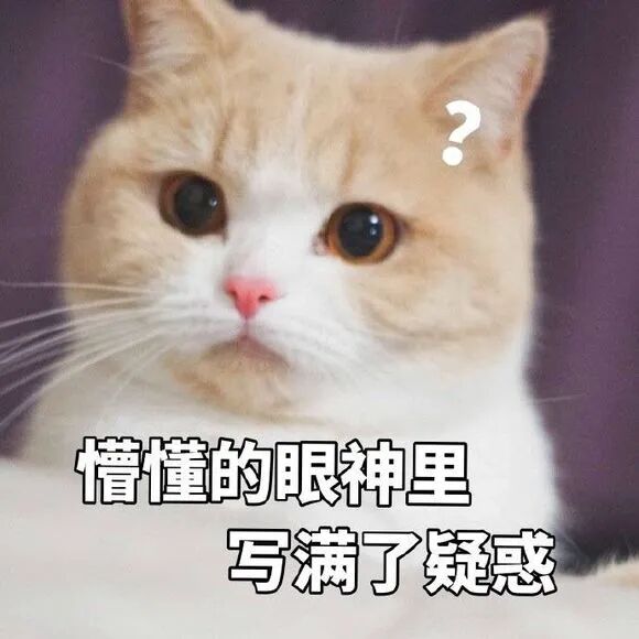 线上店号称八折代购品牌服饰，“进货成本”竟是0元