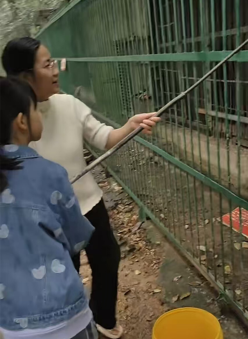 咸宁一动物园因长沙游客点赞走红，00后园长谈爆火：动物还是少，还有很多地方要改进