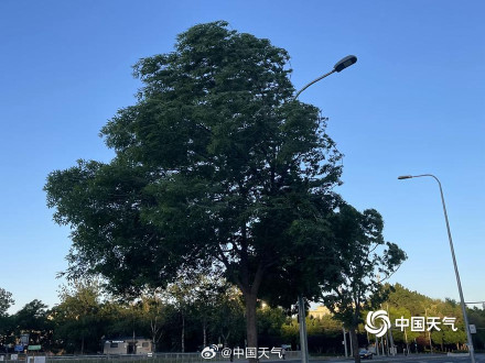 北京局地风力达到11级