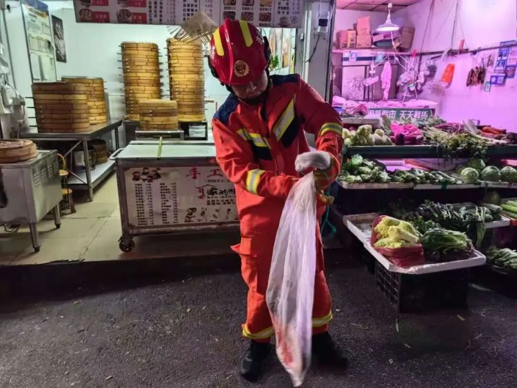 广东深圳一居民区现长约一米八的眼镜蛇，店主：“蛇是楼上掉下来的”