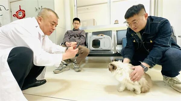 宠物乘飞机、火车需要先检疫，主人可线上申报办理！哈尔滨市前四月累计检疫820只猫狗
