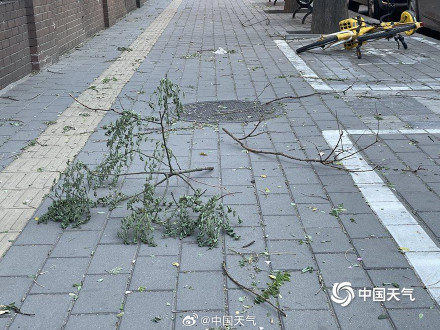 北京局地风力达到11级