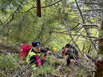 三名湖北男子山上采药被困悬崖 重庆多部门联手营救