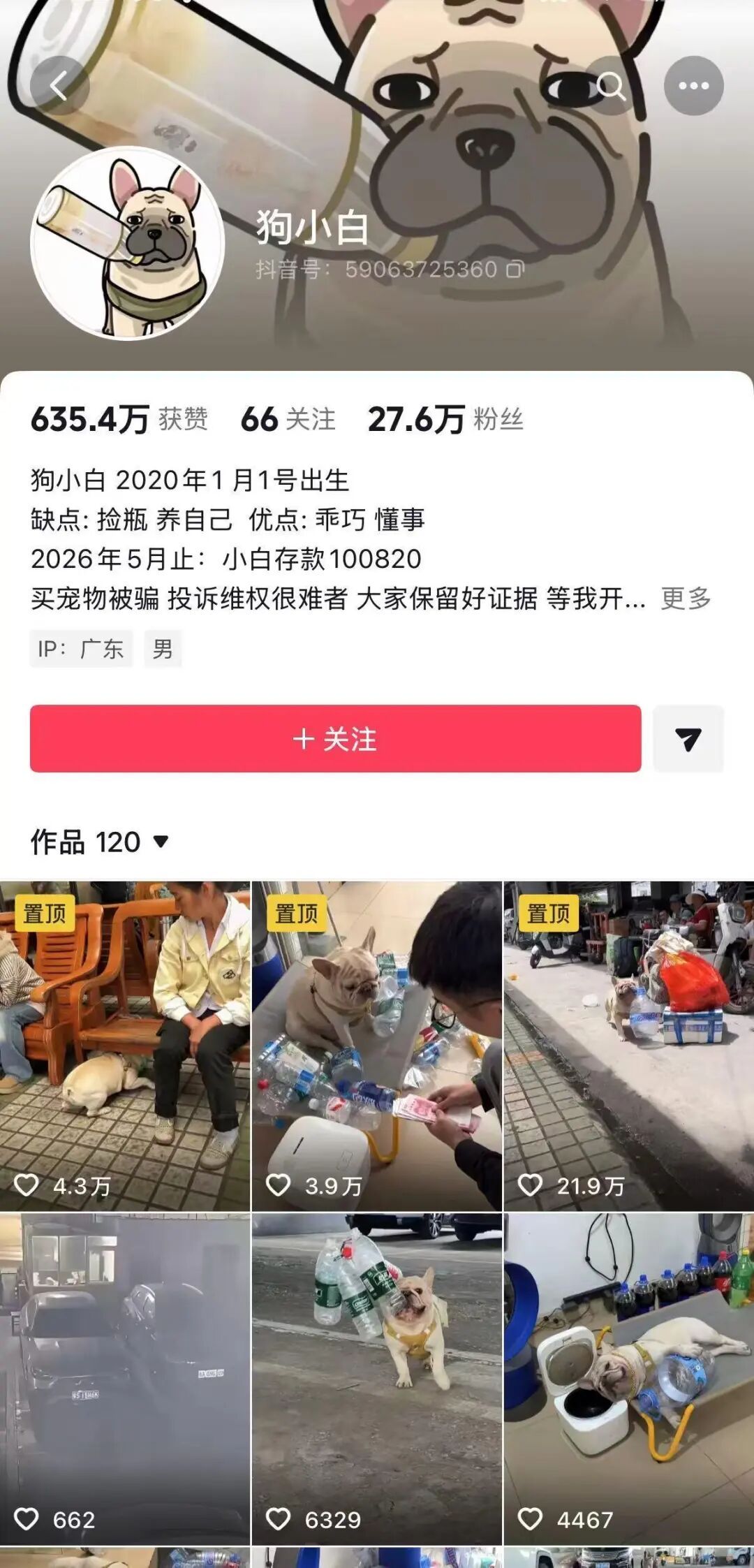 广州50万粉丝“捡瓶小狗”，疑被“毒狗团伙”盯上，目前只能被迫困在家中