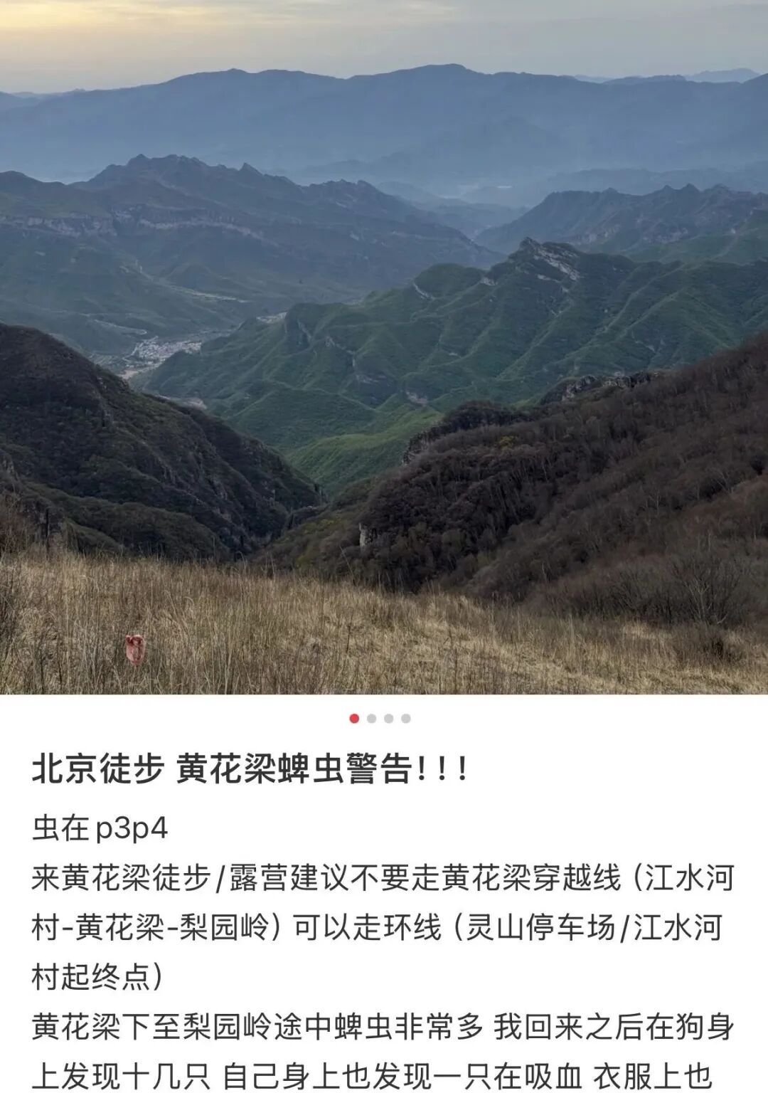 进入活跃期，北京已有多人被叮咬！严重者从有症状到死亡仅9天…