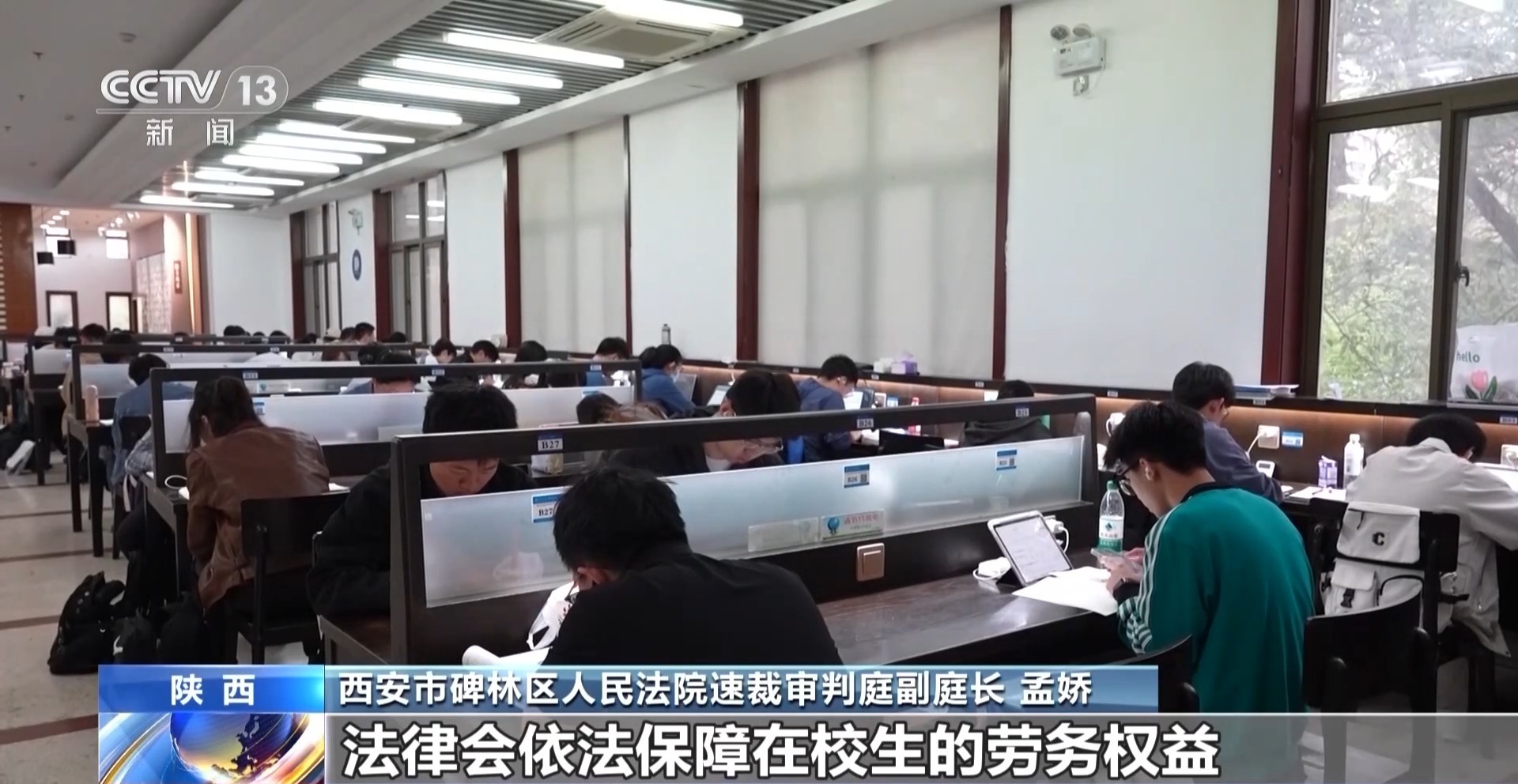 大学生在萌宠店兼职被咬伤，老板因没合同拒赔 法院判了