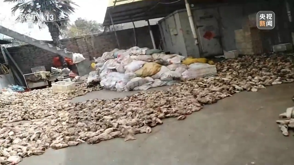 焦点访谈丨羊皮作坊常年违法直排 江苏徐州一关键河道水质严重超标 焦点访谈丨羊皮作坊常年违法直排 江苏徐州一关键河道水质严重超标