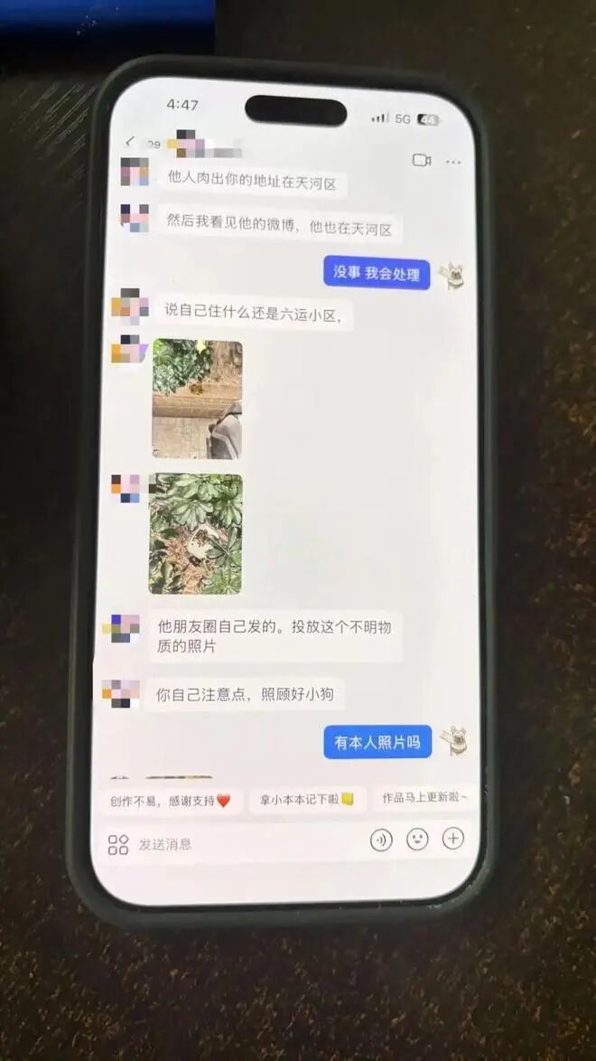 网红小狗靠捡瓶子攒10万，被“毒狗团伙”盯上，扒出主人姓名、住址等信息扬言投毒