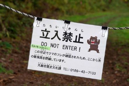 日本近期发生疑似熊袭击致死事件