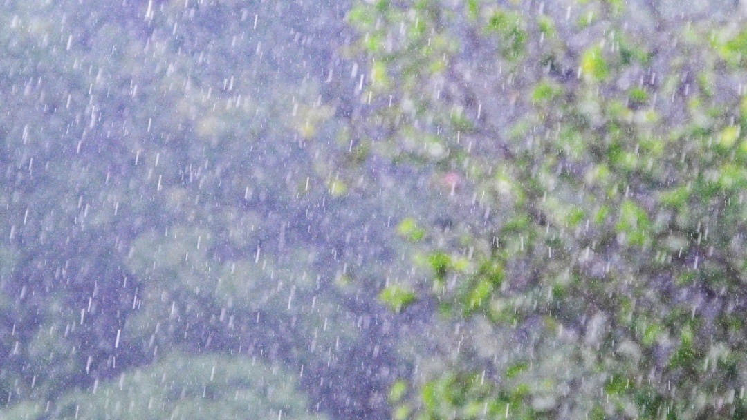 冷空气逼近!广东今天有暴雨+8级大风,广东省应急管理厅、气象局联合发布提醒 冷空气逼近!广东今天有暴雨+8级大风,广东省应急管理厅、气象局联合发布提醒