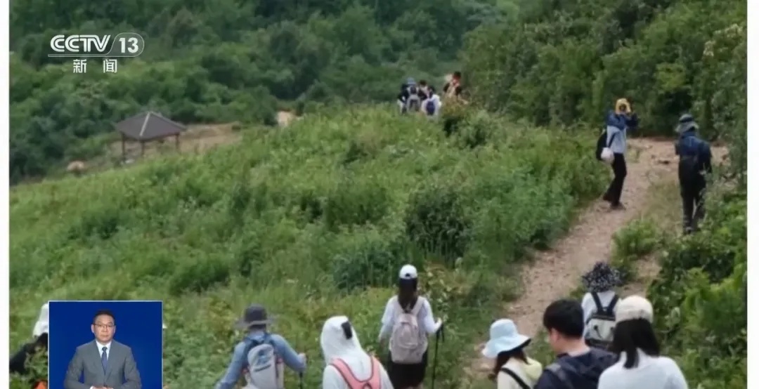 23岁女子花139元报名徒步，因身体不适独自返回途中猝死！旅行社称有“免责声明”