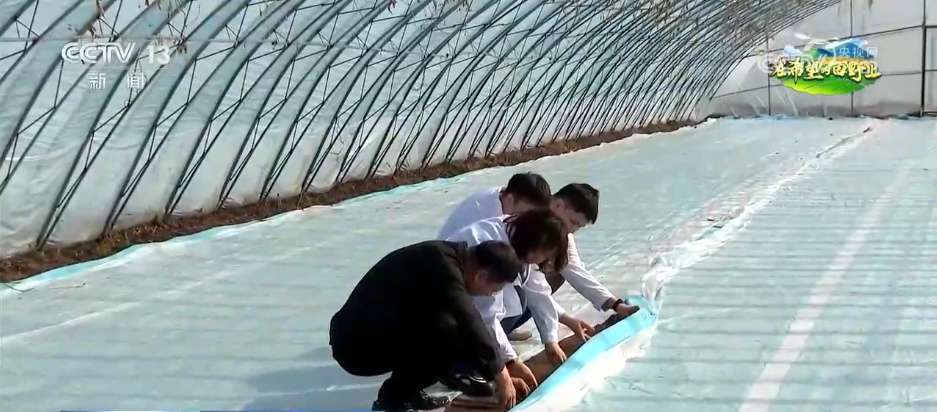农业“黑科技”为丰收“添底气” 新质生产力让希望的田野变成丰收沃土