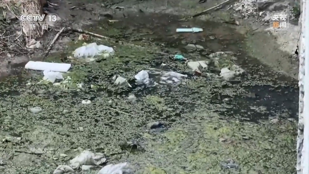 焦点访谈丨羊皮作坊常年违法直排 江苏徐州一关键河道水质严重超标 焦点访谈丨羊皮作坊常年违法直排 江苏徐州一关键河道水质严重超标