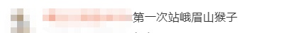 “男子猛推峨眉山猴子”引众怒，官方通报
