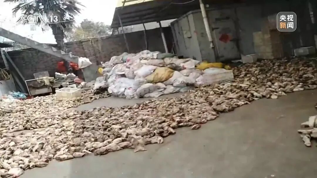 央视曝光江苏徐州一关键河道水质严重超标:满是污水,发黑发臭,羊皮作坊常年违法直排 央视曝光江苏徐州一关键河道水质严重超标:满是污水,发黑发臭,羊皮作坊常年违法直排