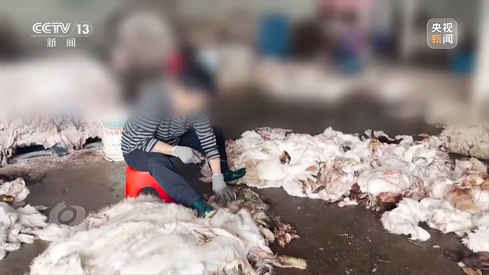 焦点访谈丨羊皮作坊常年违法直排 江苏徐州一关键河道水质严重超标 焦点访谈丨羊皮作坊常年违法直排 江苏徐州一关键河道水质严重超标