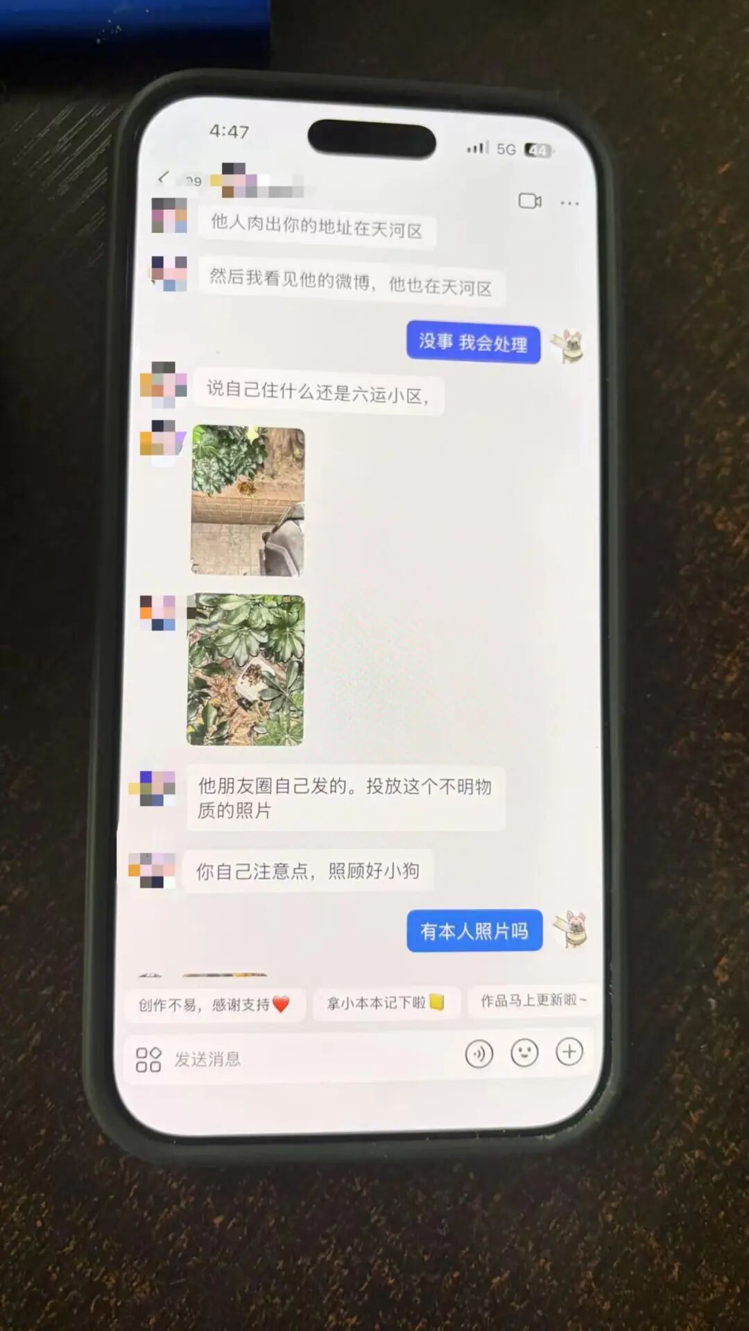 广州50万粉丝“捡瓶小狗”，疑被“毒狗团伙”盯上，目前只能被迫困在家中