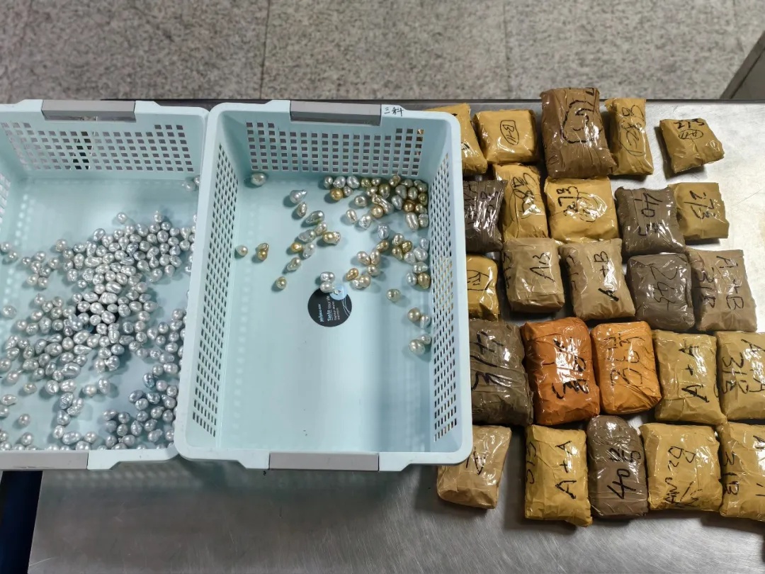 旅客用电动车藏匿海水养殖珍珠12700粒入境被查，市场价格为273.26万元