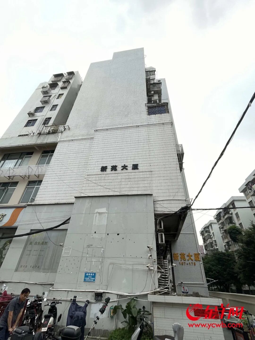 白云区一小区天台变“菜园”，有业主忧“两热”隐患，街道介入劝导