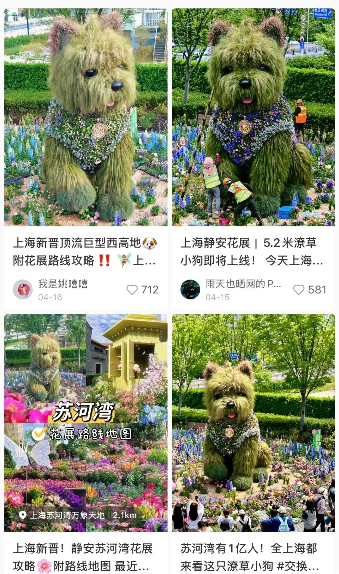 夯爆了！每天10万人涌入，上海这只超级网红“潦草小狗”公开征名啦