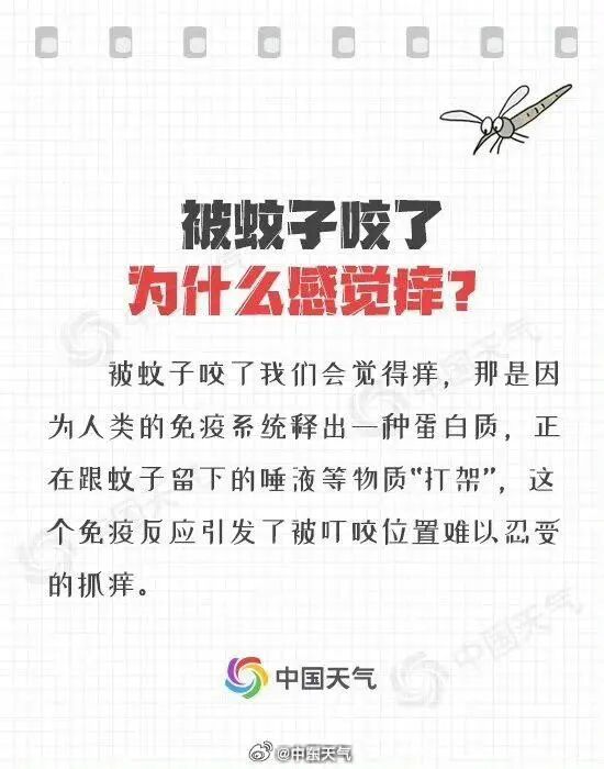 “急性子”冷空气来袭!广东迎局部大暴雨+8级大风 “急性子”冷空气来袭!广东迎局部大暴雨+8级大风