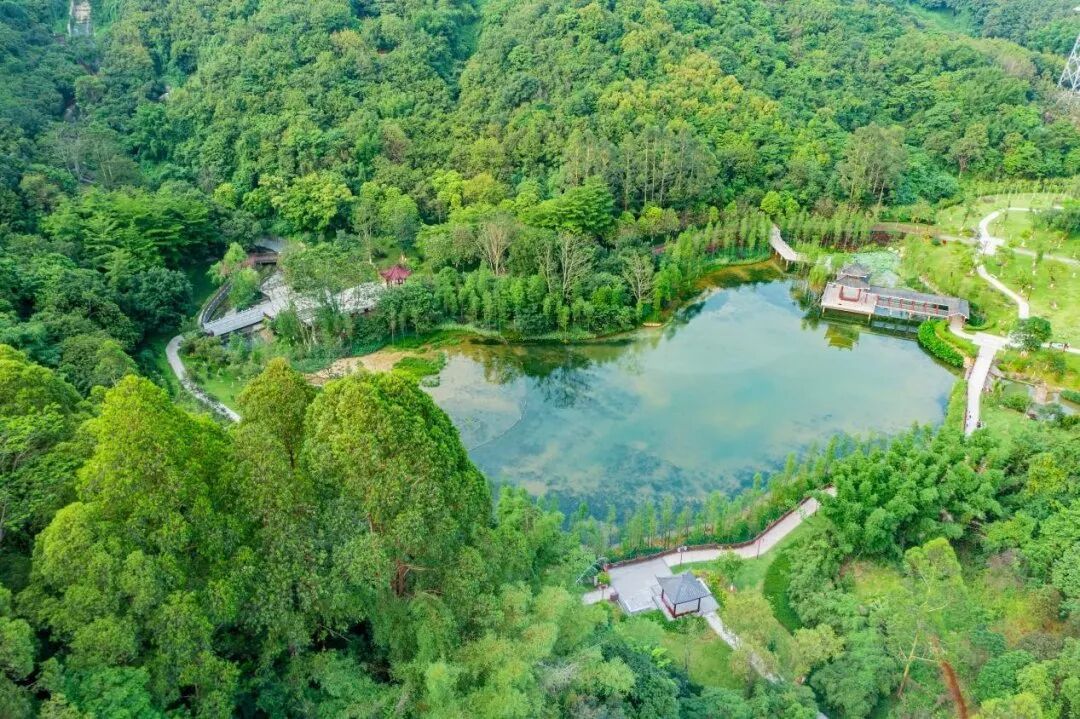 广州一公园发现外来入侵物种，性情凶猛，内脏和鱼卵含剧毒，最新情况：已做无害化处理