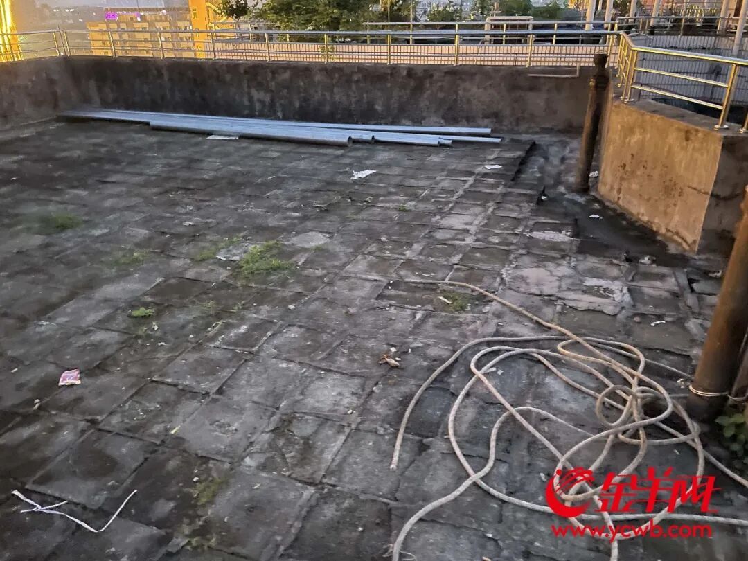 白云区一小区天台变“菜园”，有业主忧“两热”隐患，街道介入劝导