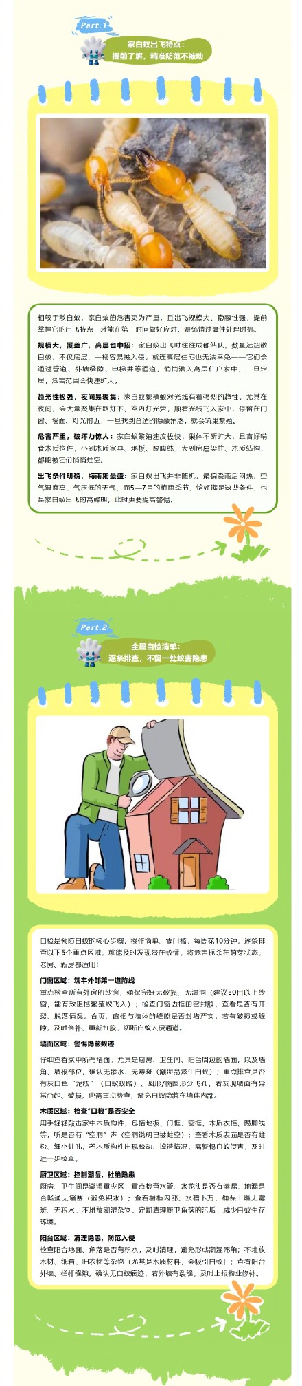 白蚁自查！别等蛀空才发现
