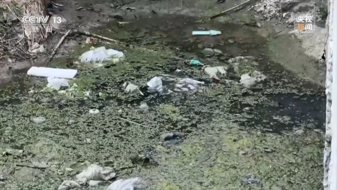 《焦点访谈》曝光：河道变“毒水沟”！徐州成立调查组，提级调查