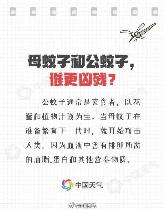 “急性子”冷空气来袭!广东迎局部大暴雨+8级大风 “急性子”冷空气来袭!广东迎局部大暴雨+8级大风