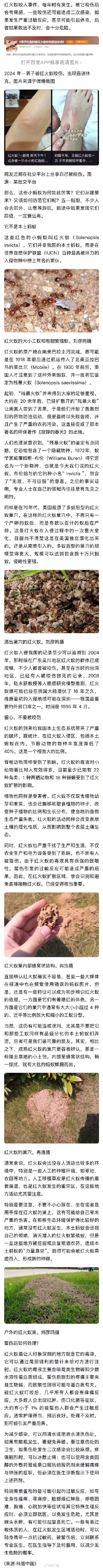 遇到这种小土包千万别踩