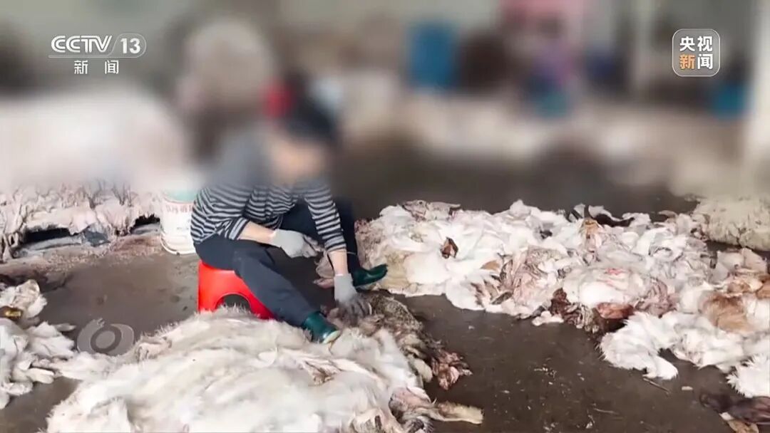 《焦点访谈》曝光：河道变“毒水沟”！徐州成立调查组，提级调查