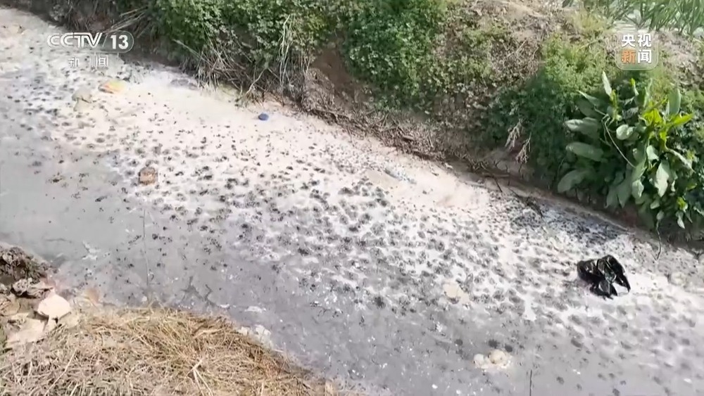 焦点访谈丨羊皮作坊常年违法直排 江苏徐州一关键河道水质严重超标 焦点访谈丨羊皮作坊常年违法直排 江苏徐州一关键河道水质严重超标