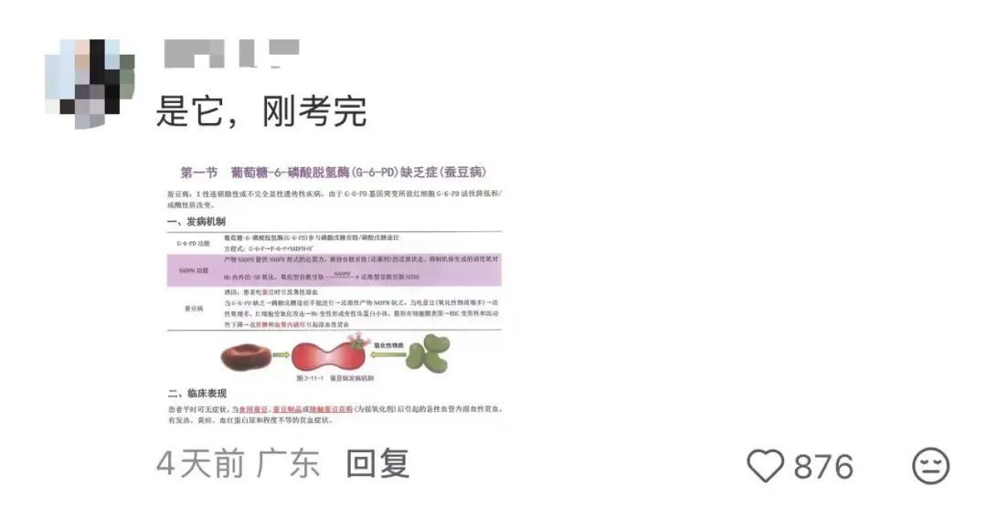 “菜市场禁剥蚕豆”引热议，农贸市场回应：原因并非担忧蚕豆病，主要是消除安全隐患