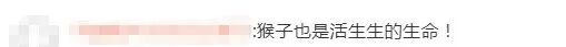 “男子猛推峨眉山猴子”引众怒，官方通报