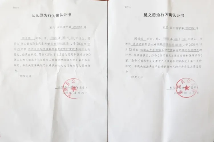 邻居被野猪咬住，两位老人冲上去救人，其中一人身受重伤，事后双双被认定见义勇为