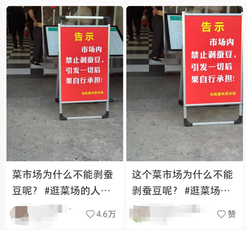 “农贸市场不准剥蚕豆”引热议,剥蚕豆会引发“蚕豆病”? “农贸市场不准剥蚕豆”引热议,剥蚕豆会引发“蚕豆病”?