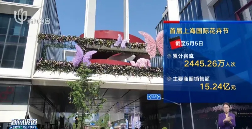 夯爆了！每天10万人涌入，上海这只超级网红“潦草小狗”公开征名啦